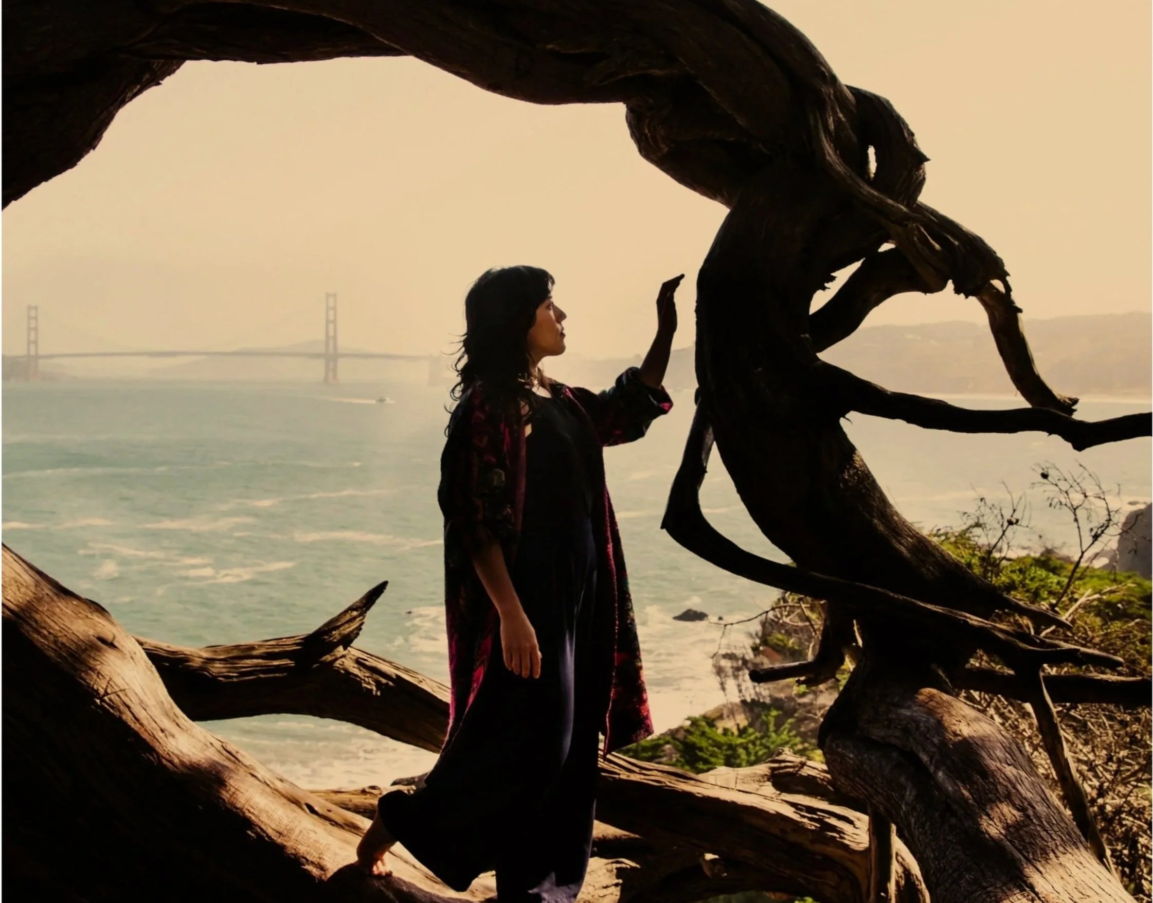 The silhouette of a woman standing on a tree by the water, touching a large twisted branch with the Golden Gate Bridge in the background.