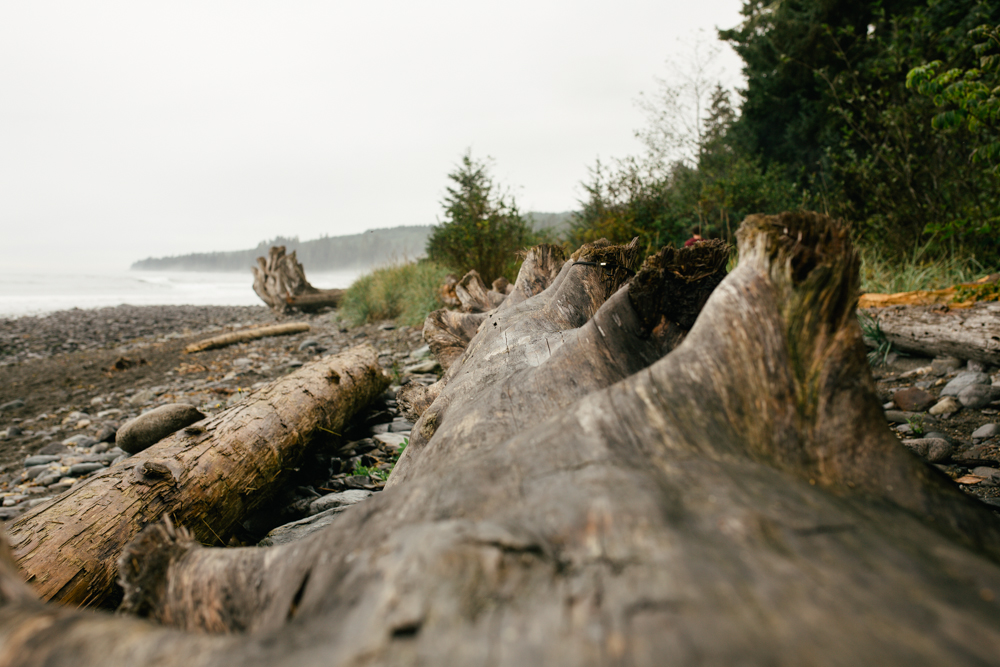 Sombrio Beach, Kim Jay Photography