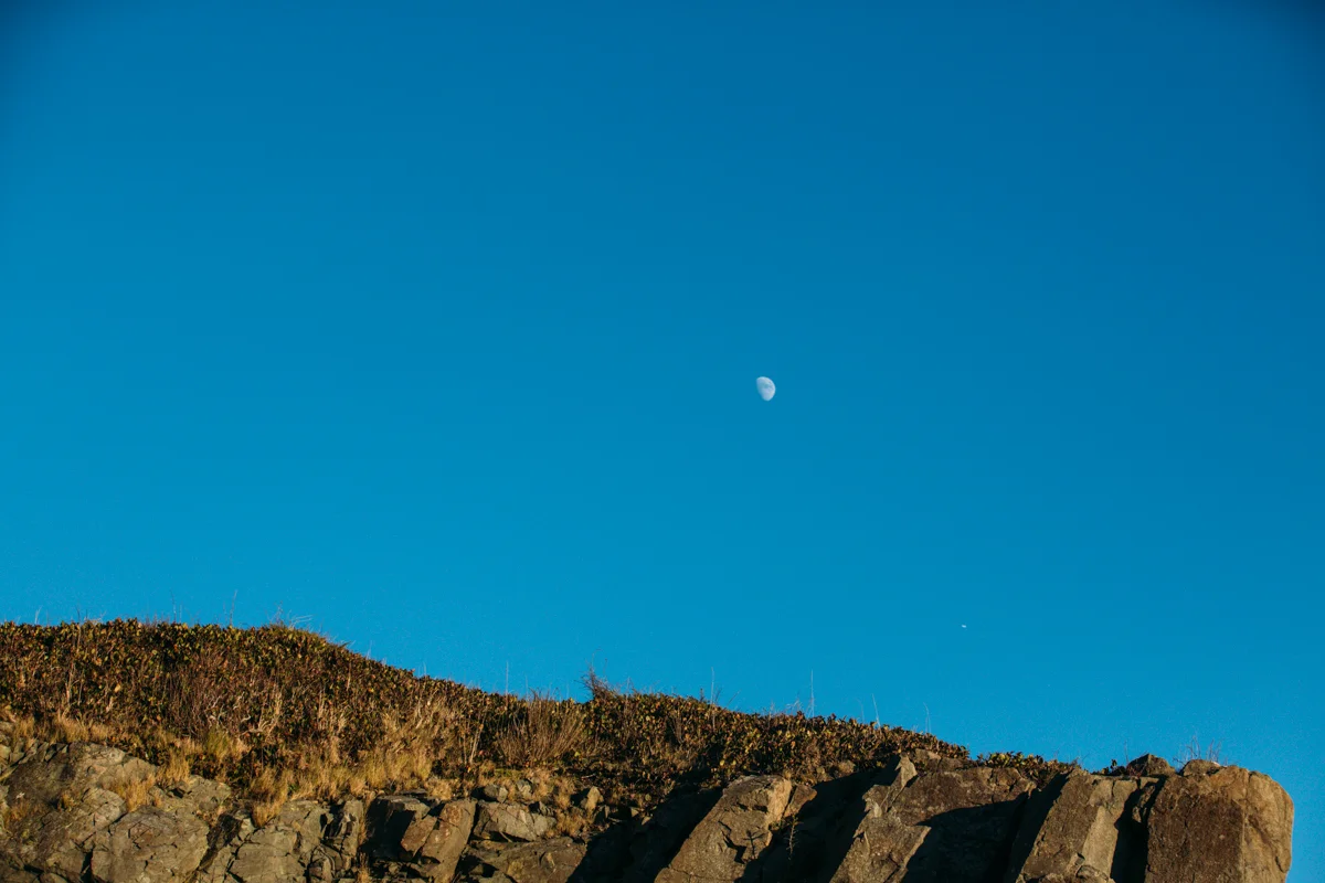 victoria engagement photographer - shirley bc-15.jpg
