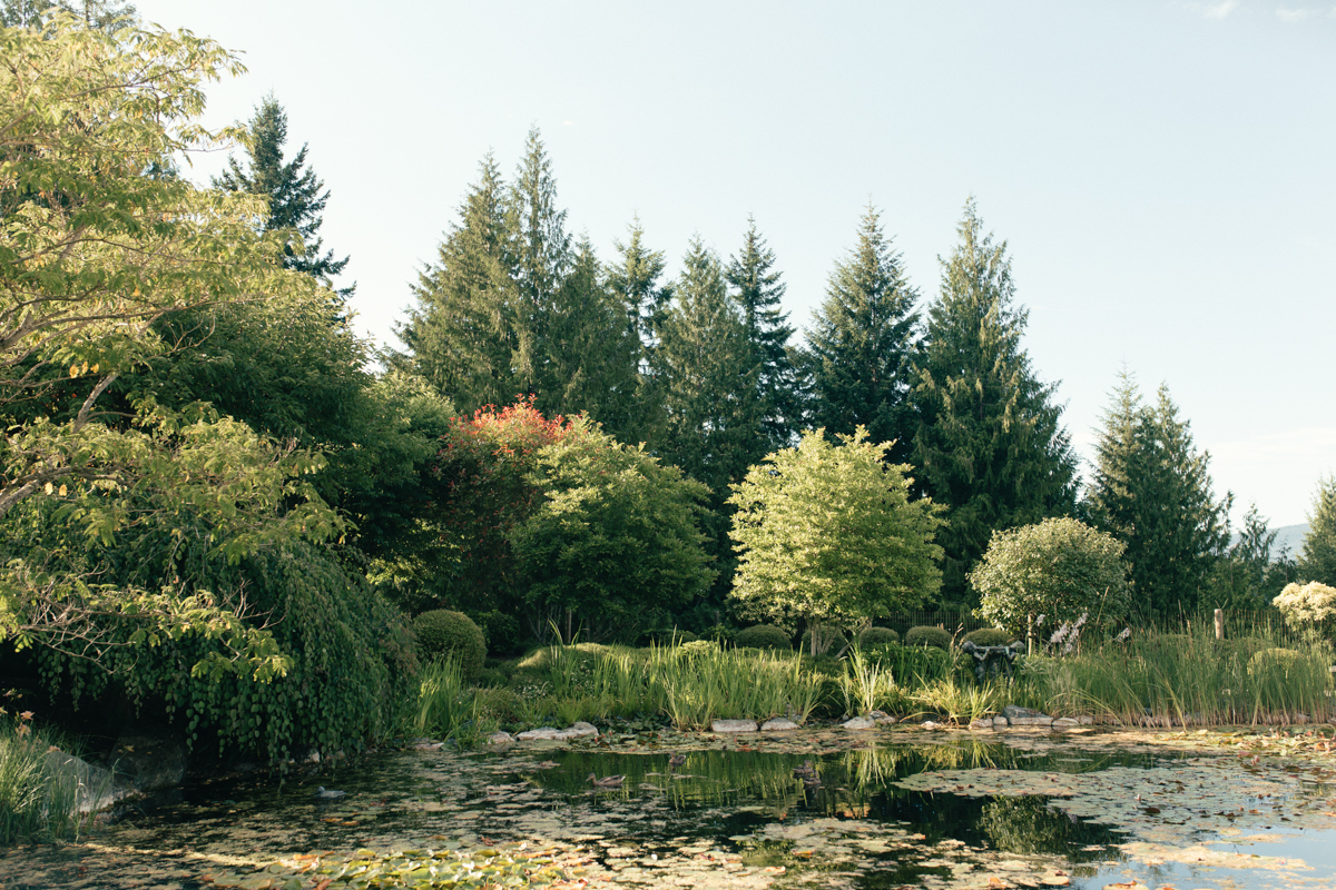 The view of the forest The Guild King Francis Park Forest Wedding Ceremony Vancouver Island