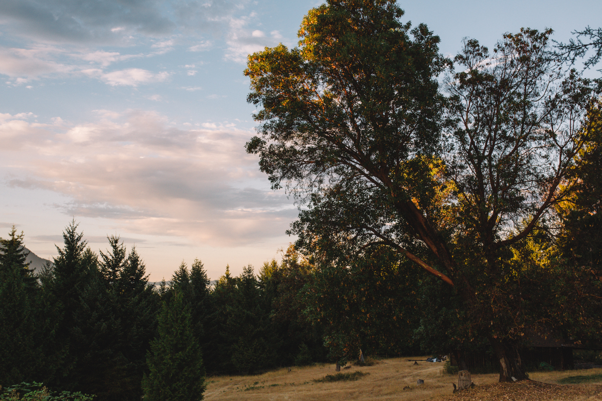 The Forest wedding venue King Francis Park Forest Wedding Ceremony Vancouver Island
