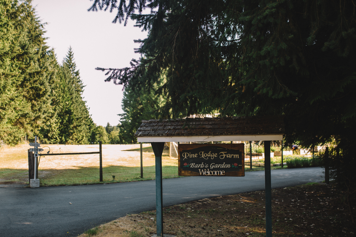 Wedding Venue King Francis Park Forest Wedding Ceremony Venue Vancouver Island