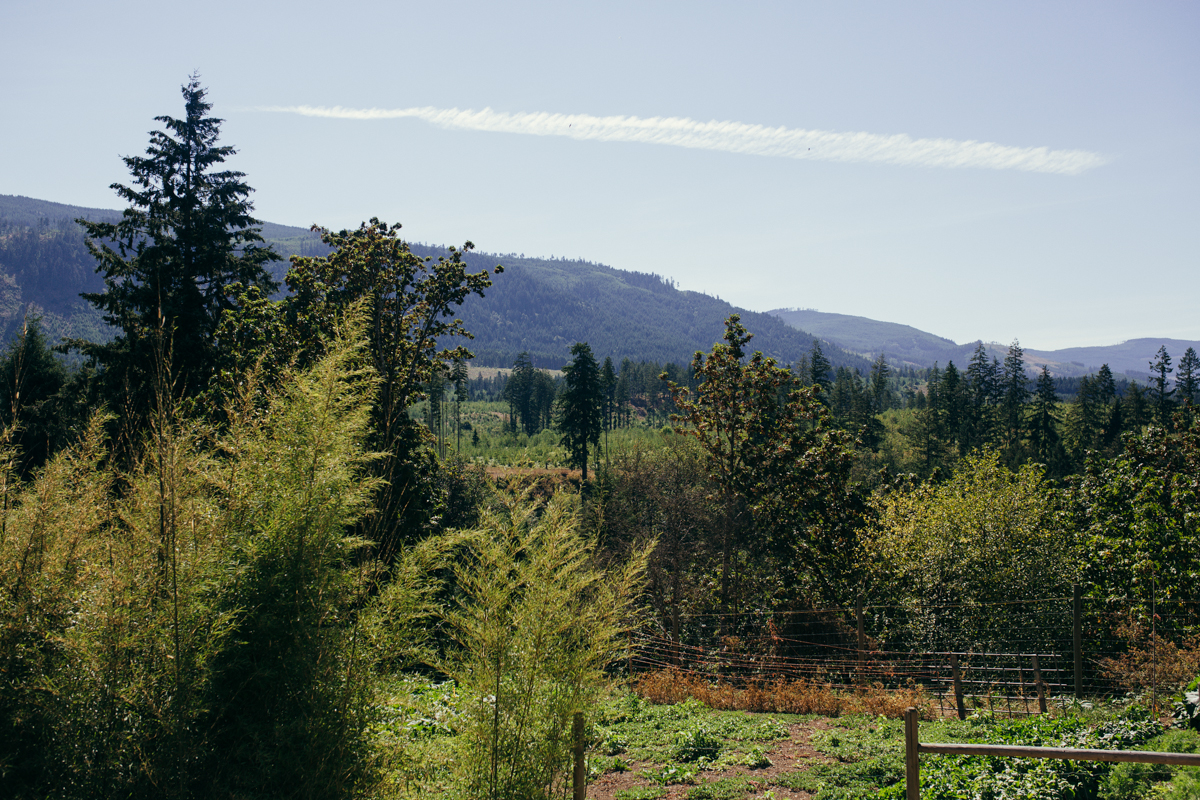 Wedding venue King Francis Park Forest Wedding Ceremony Vancouver Island