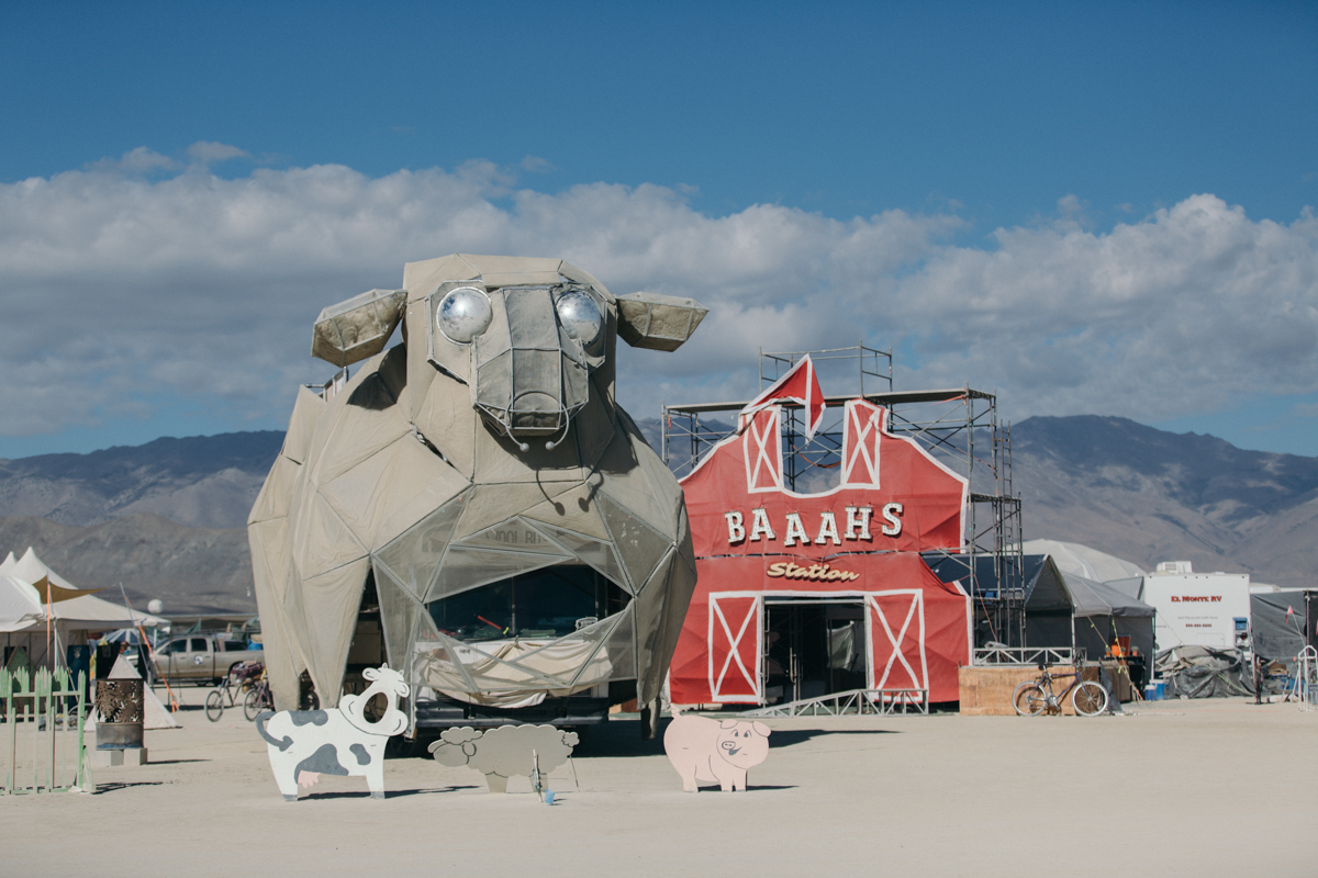 Adventure wedding photographer - Burning Man weddings