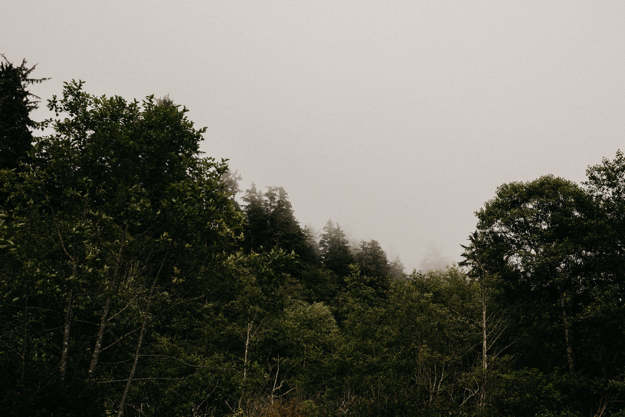 Sombrio Beach, Vancouver Island, elopement