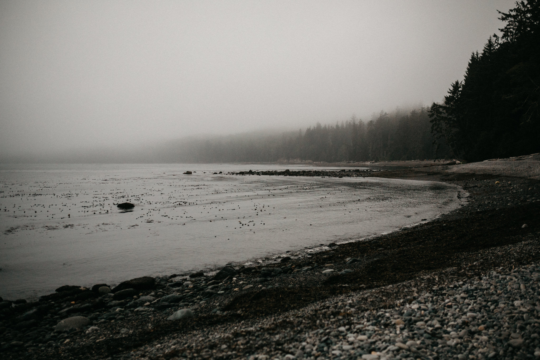 Foggy beach Elopement Sombrio Beach Vancouver Island
