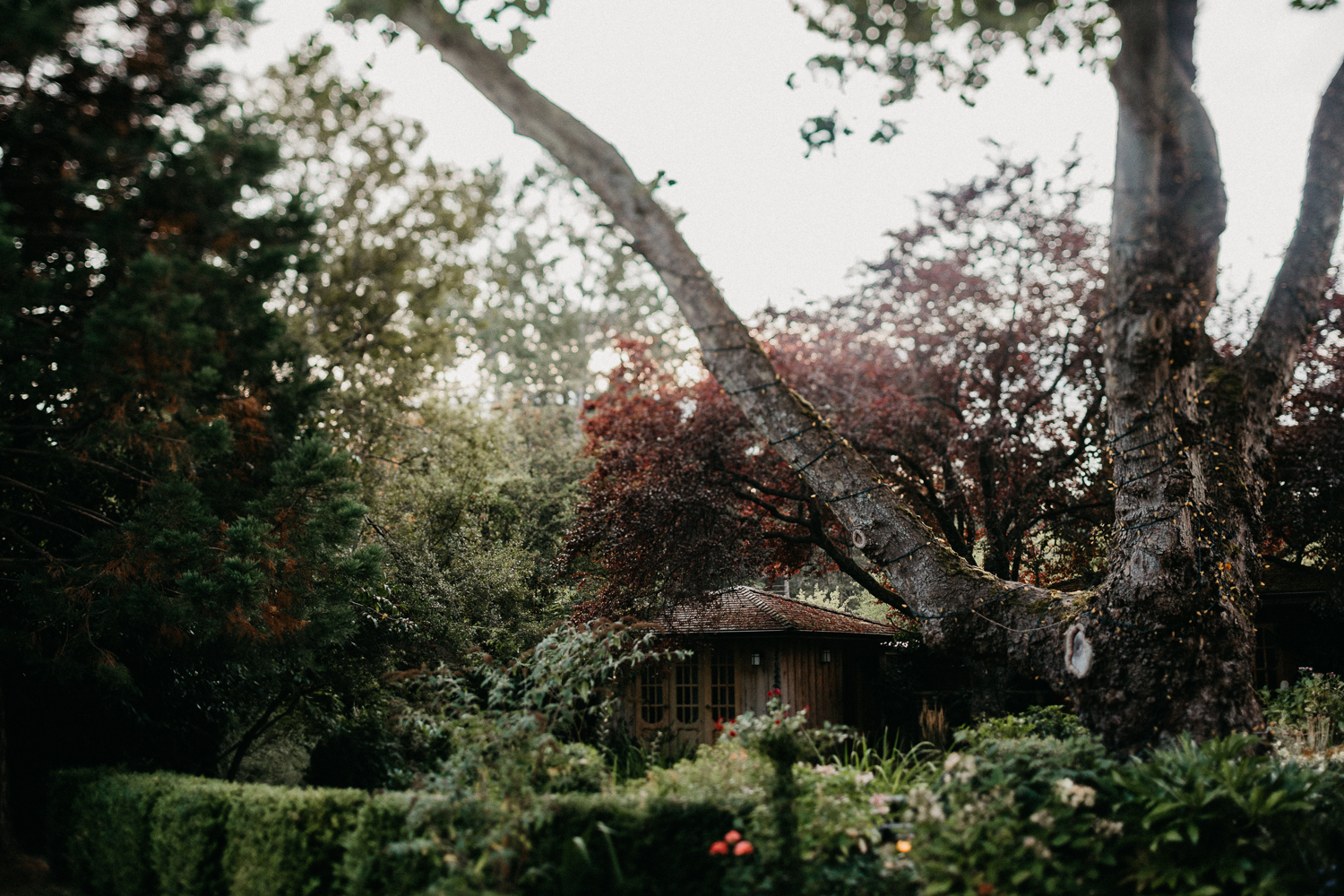 Foggy Wedding reception scenery Galiano Inn wedding