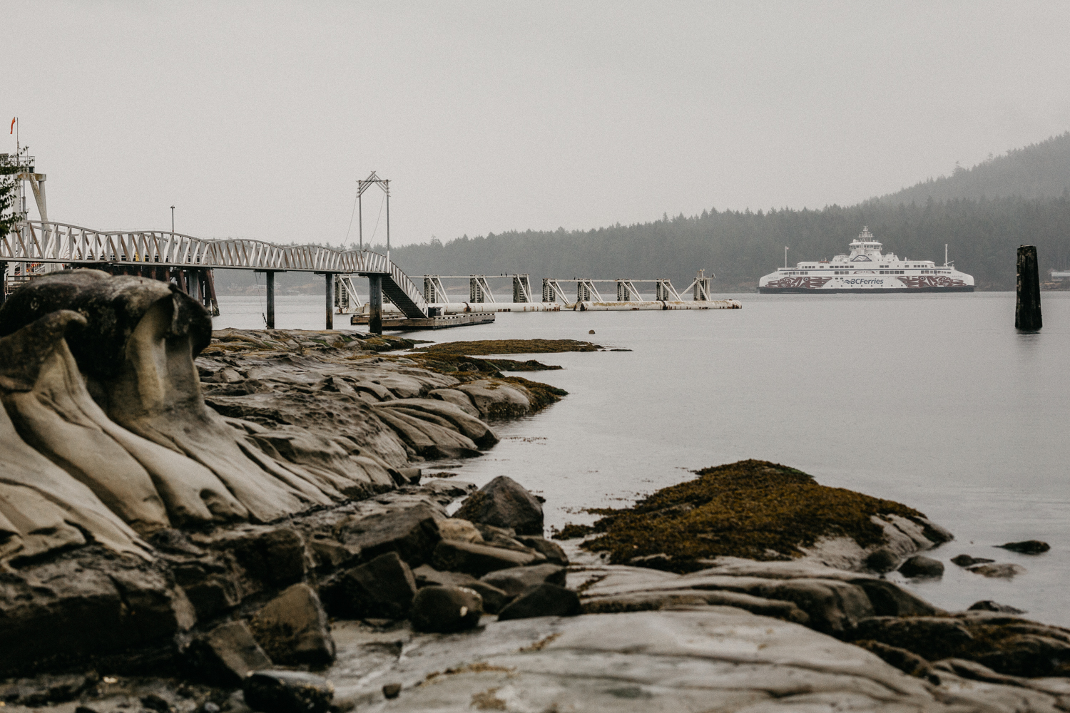 The shoreline Galiano Inn Wedding