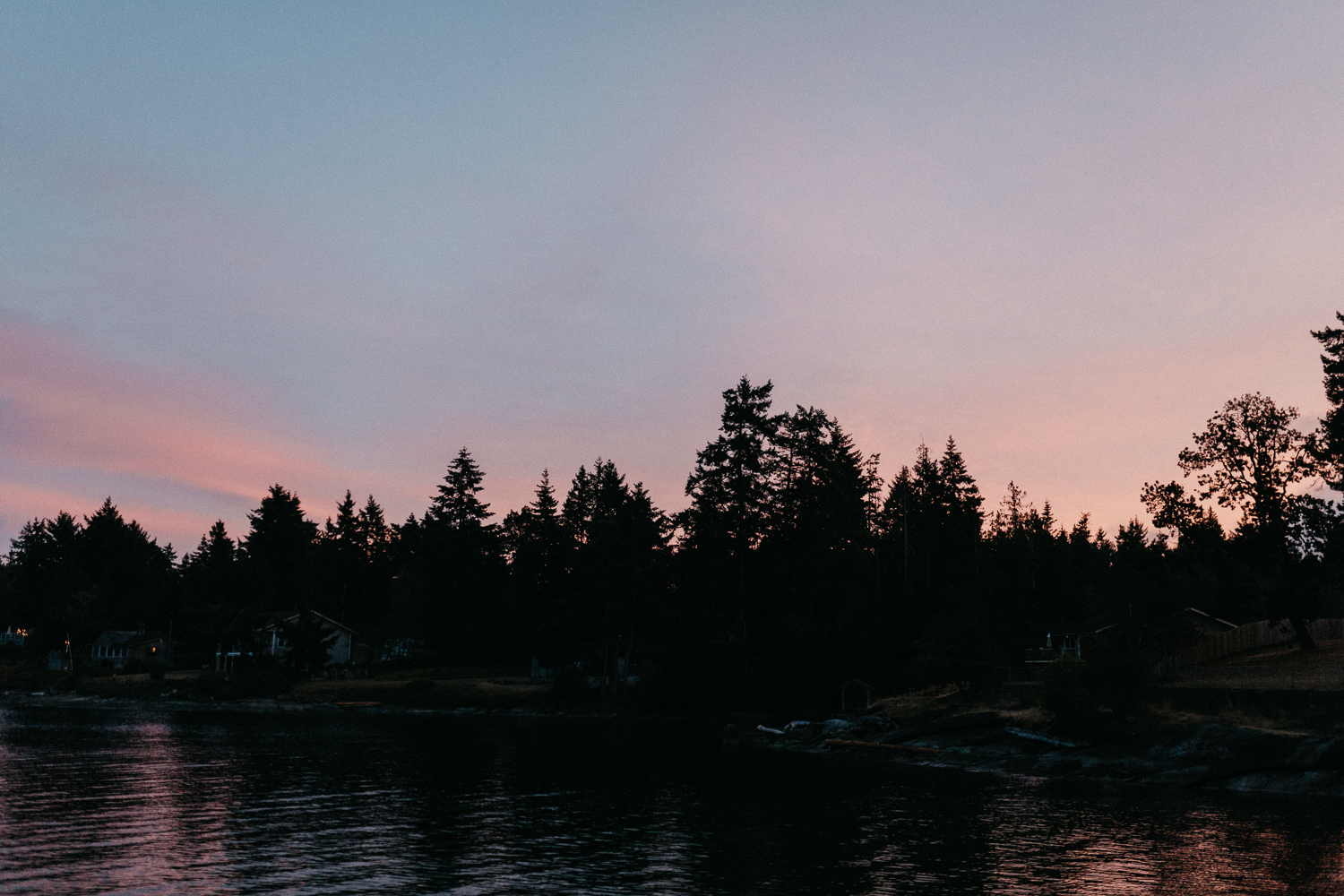 Silhouette of the Forest Galiano Inn Wedding