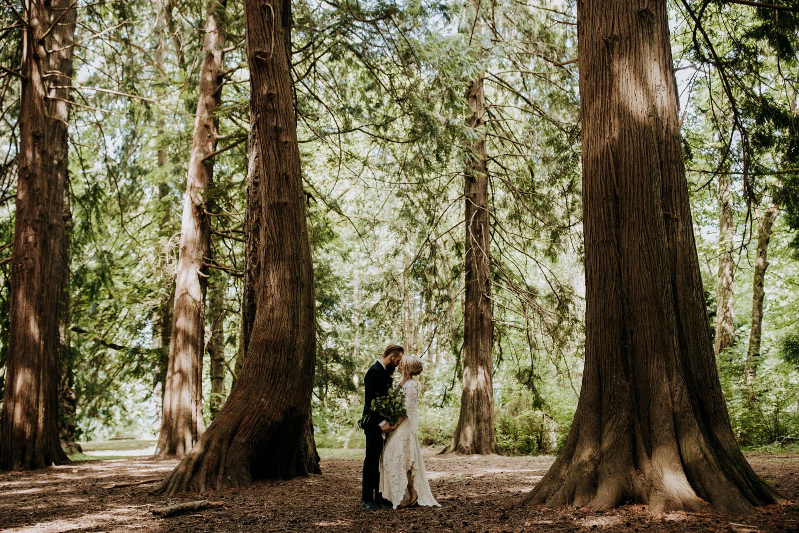 bride and groom pose in ceadar grove victoria wedding photographer
