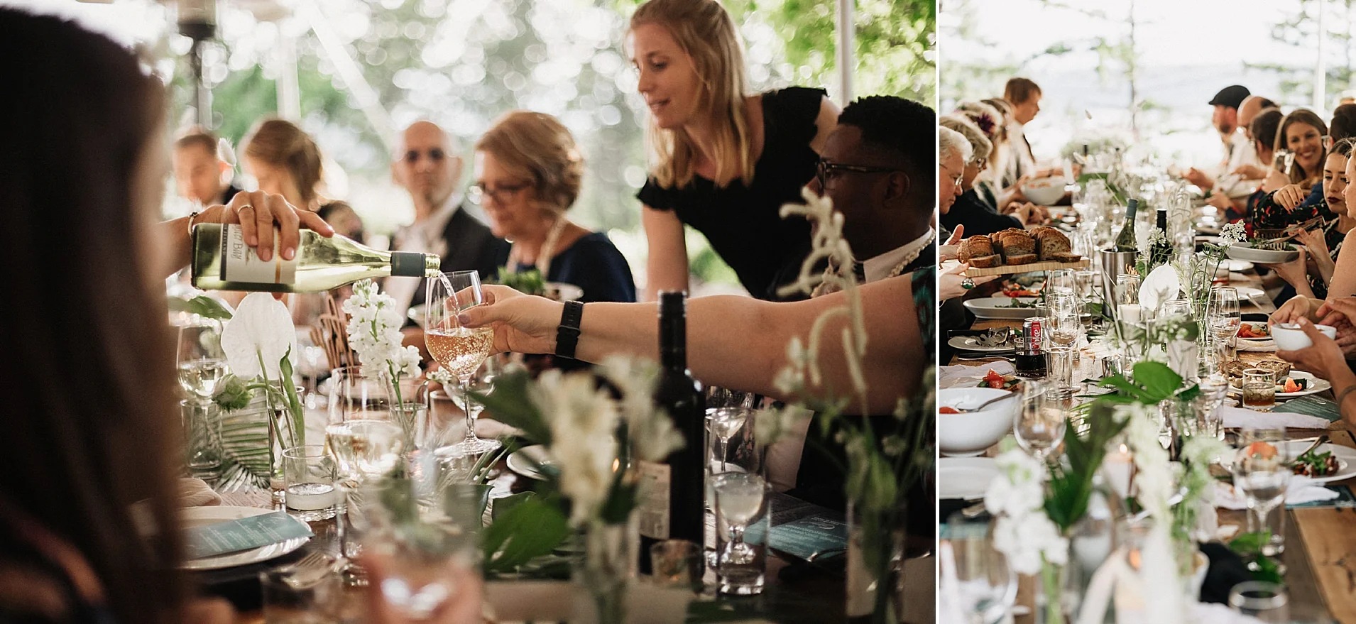 bodega ridge wedding reception.jpg