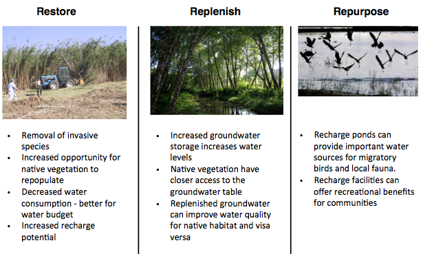 Figure 3. MAR strategies for enhancing natural habitat while achieving groundwater basin water quantity and quality benefits.