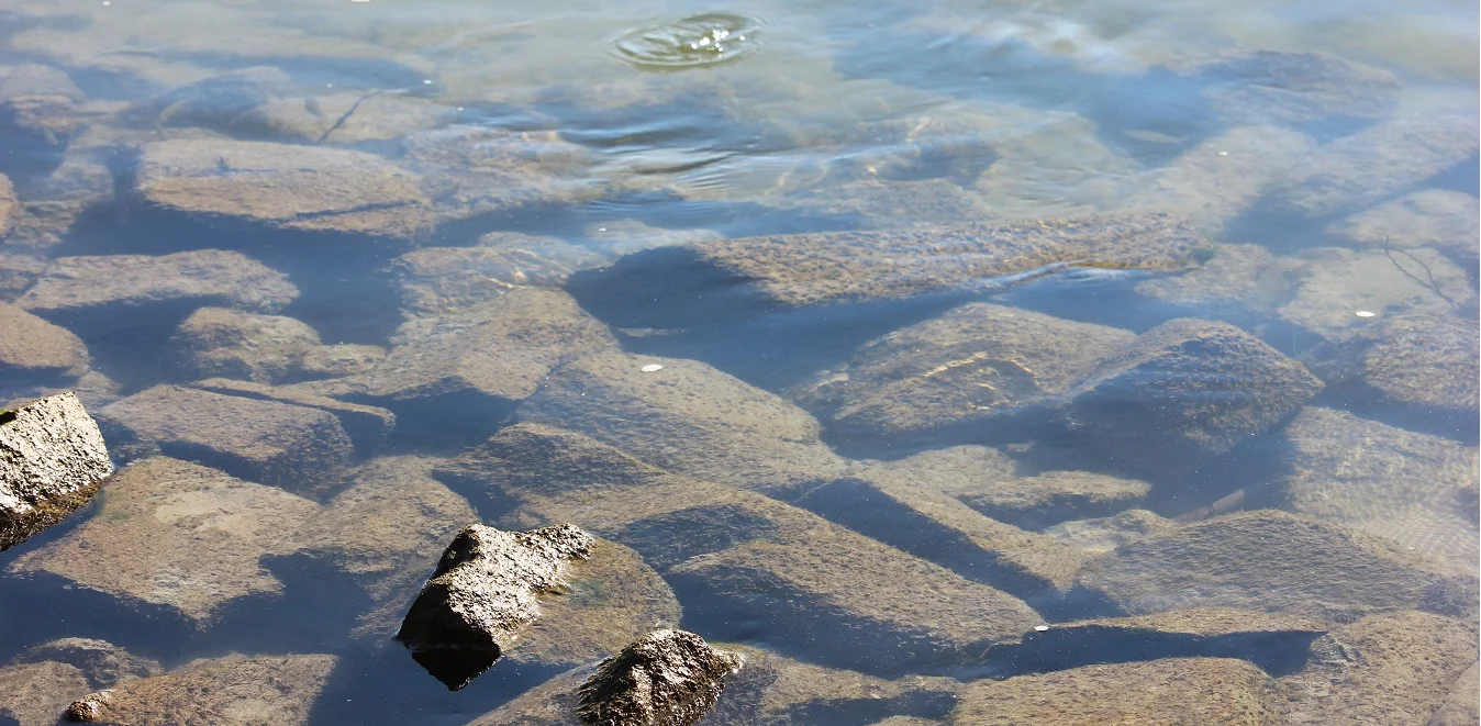 It's the Rhine, stupid