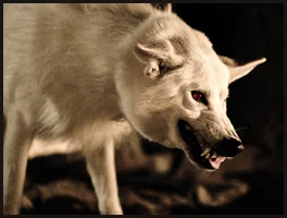05-09-ghost.jpg