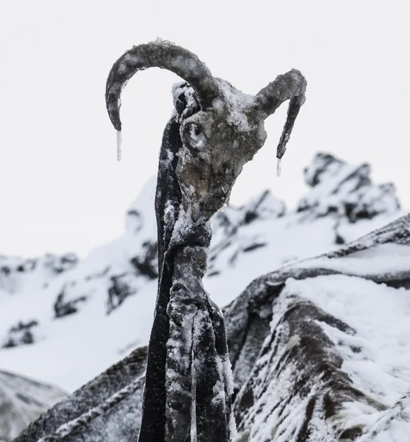 01-08-2013-ice-skull.jpg