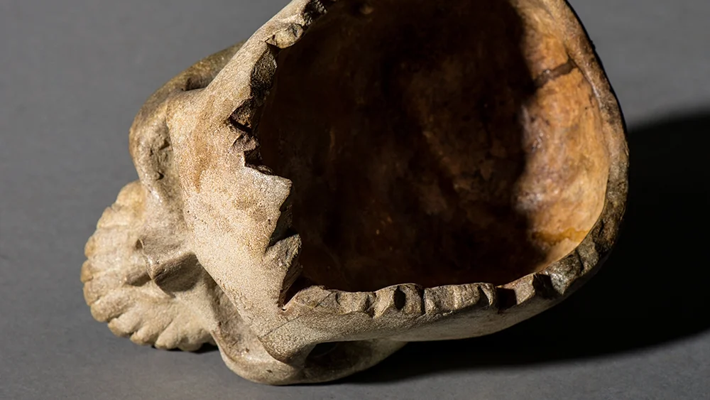 Jeor Mormont’s Skull