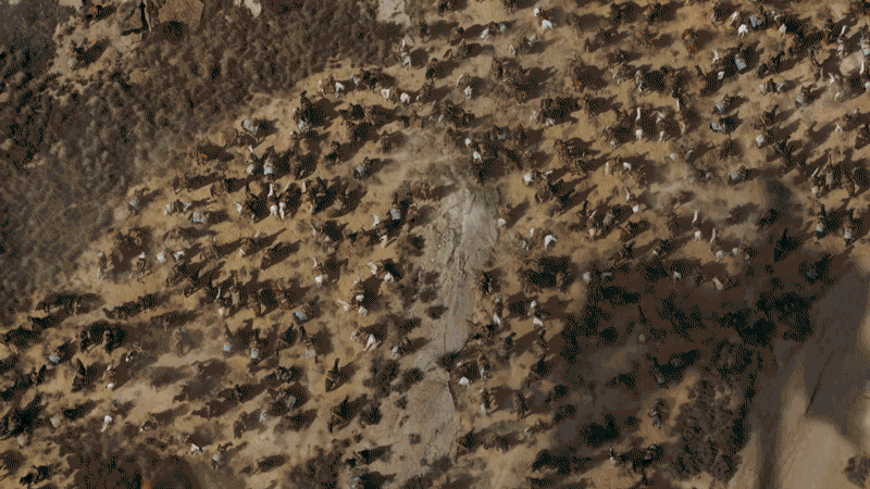 ww-handoff-gif-no-logos.gif