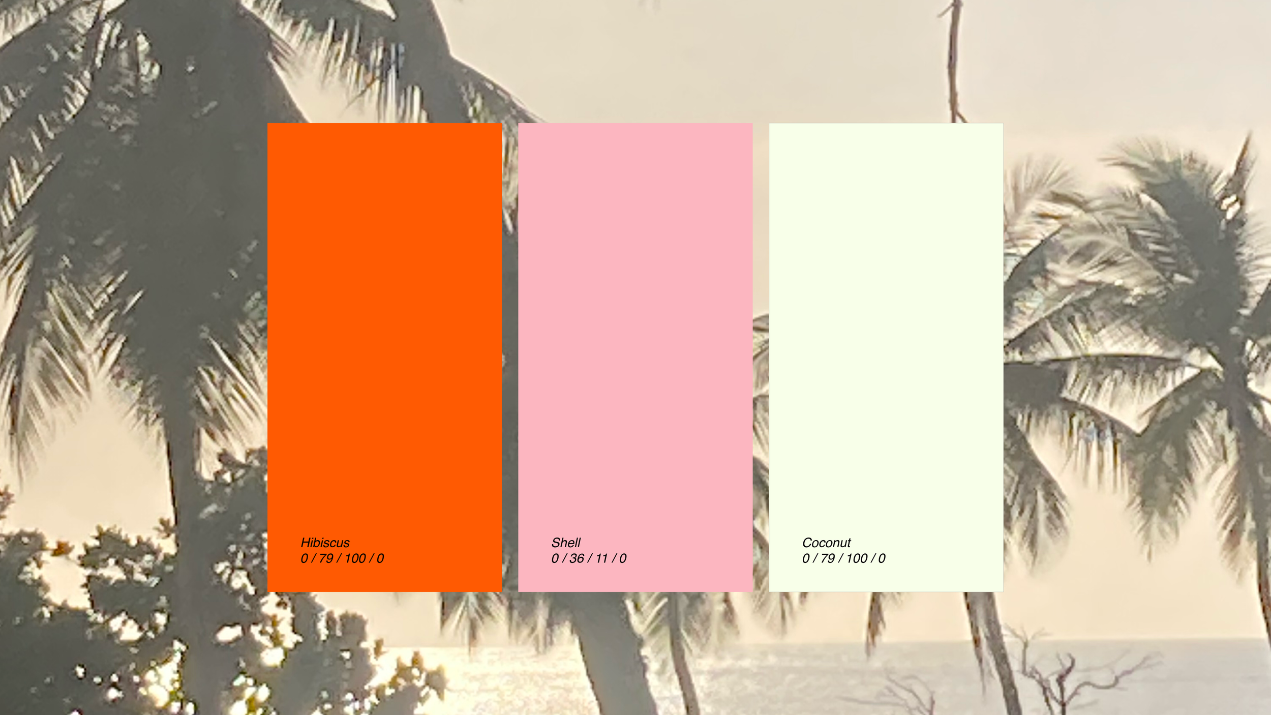 portfolio-02.png