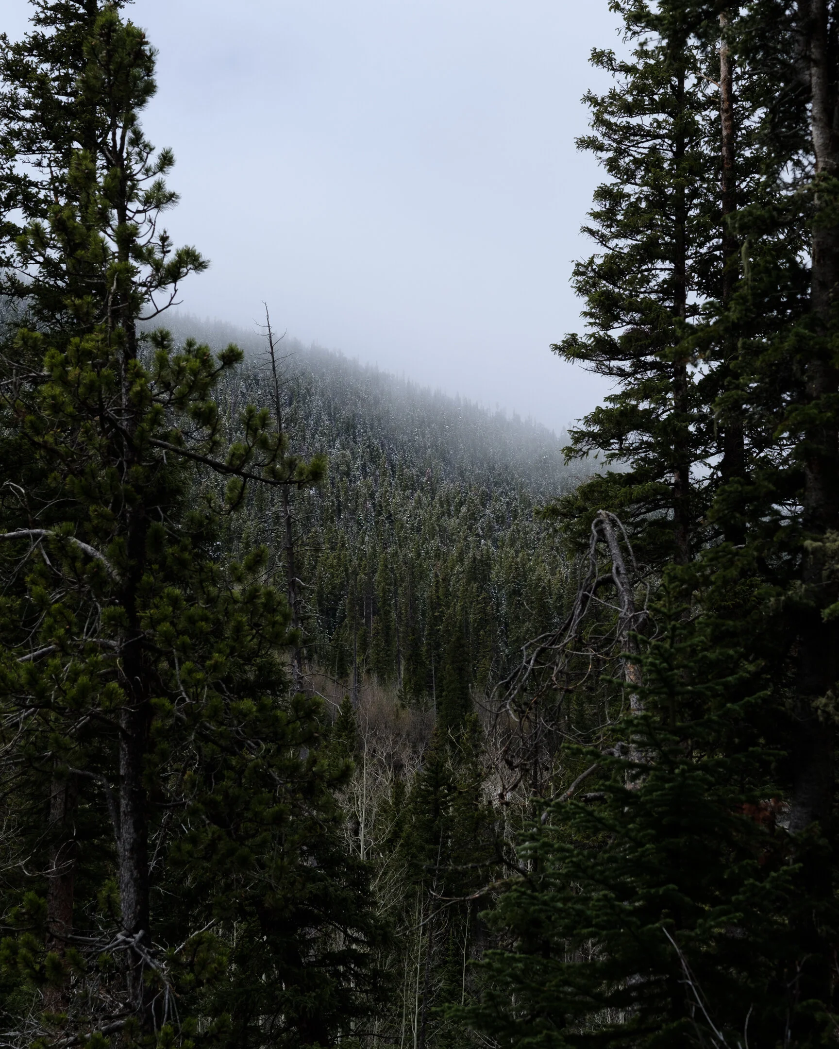 _KP21779.jpg