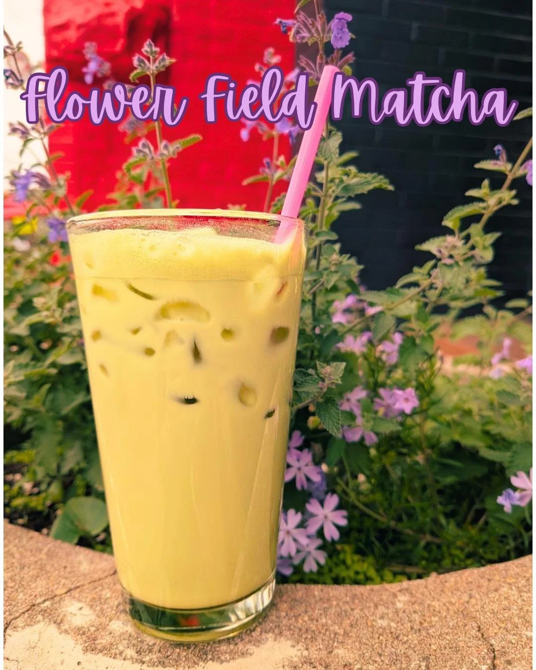The flower field matcha, delicious matcha green tea with lavender and rose 🪻🌹 Celebrate spring by indulging in these earthy, floral flavors this month at Red Dog 💗

#manitou #manitousprings #coloradosprings #coloradosmallbusiness #reddogcoffee #co