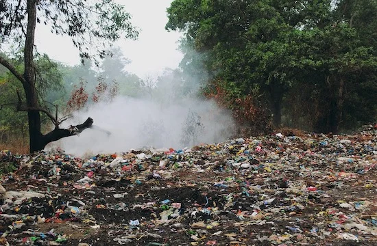 Trash.jpg