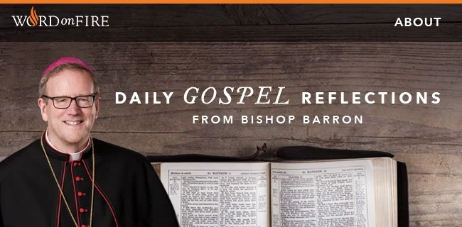Bishop Barron.jpg
