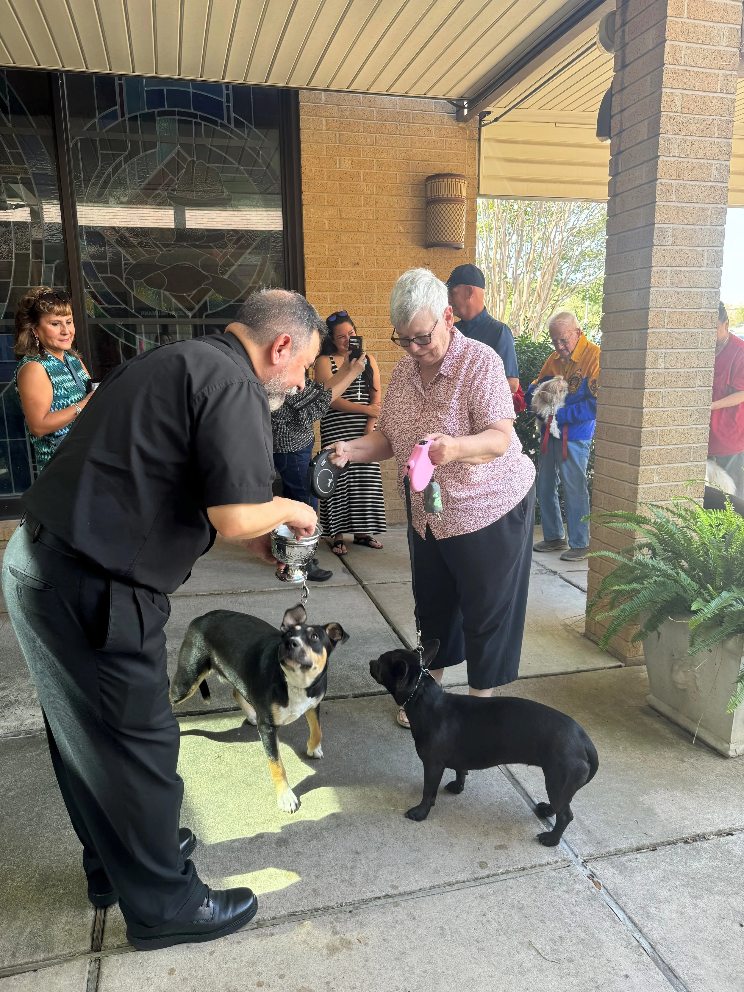 24-04 Blessing of the Animals — Saint John Neumann Catholic Church