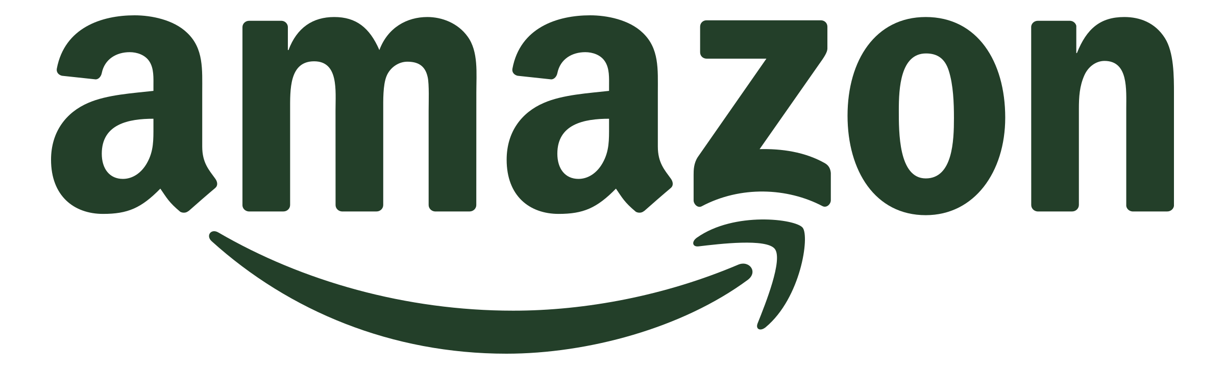 amazon.png