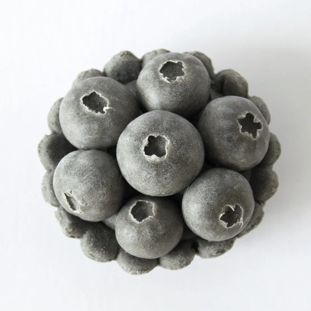 smerolla_blueberry_tartlet.jpg