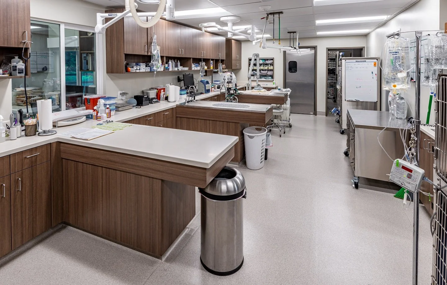 GB Vet Treatment.jpg