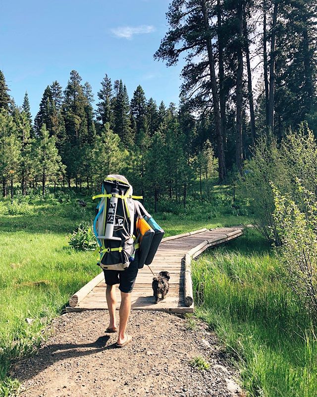 Almost done with another week of working to live/play!!! Where will your weekend adventures take you? 🏞🛶😍 #oregonexplored #sup