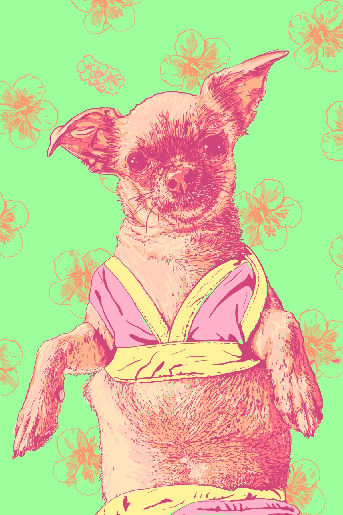 bikini chihuahua.JPG