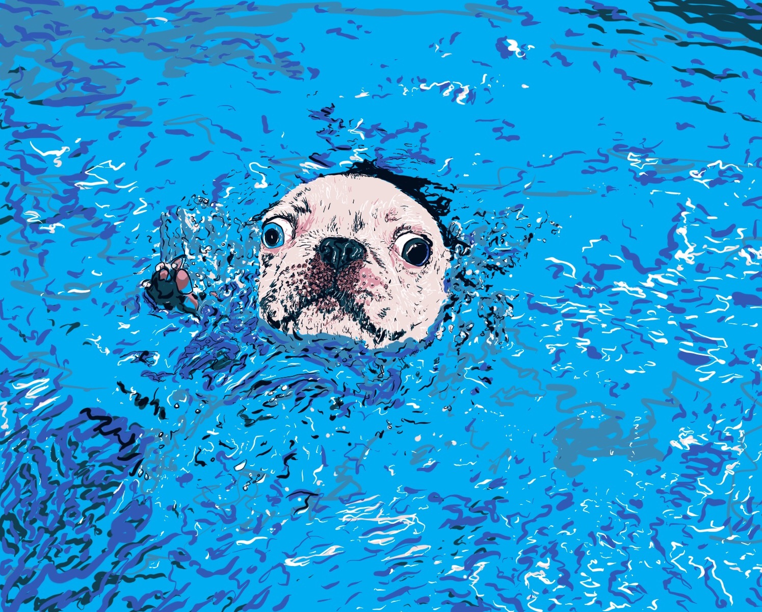 Swimming_Boston_terr.jpg