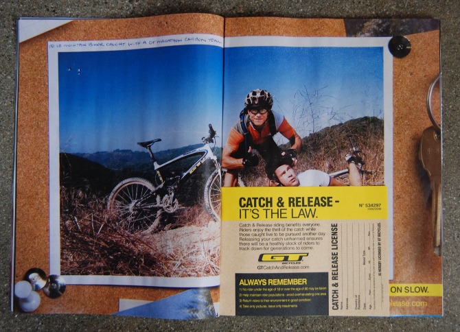 GT Catch & Release Print