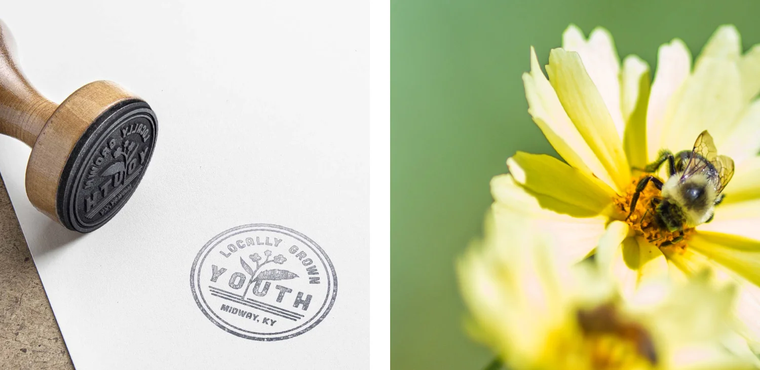 lg-diptych-1.jpg