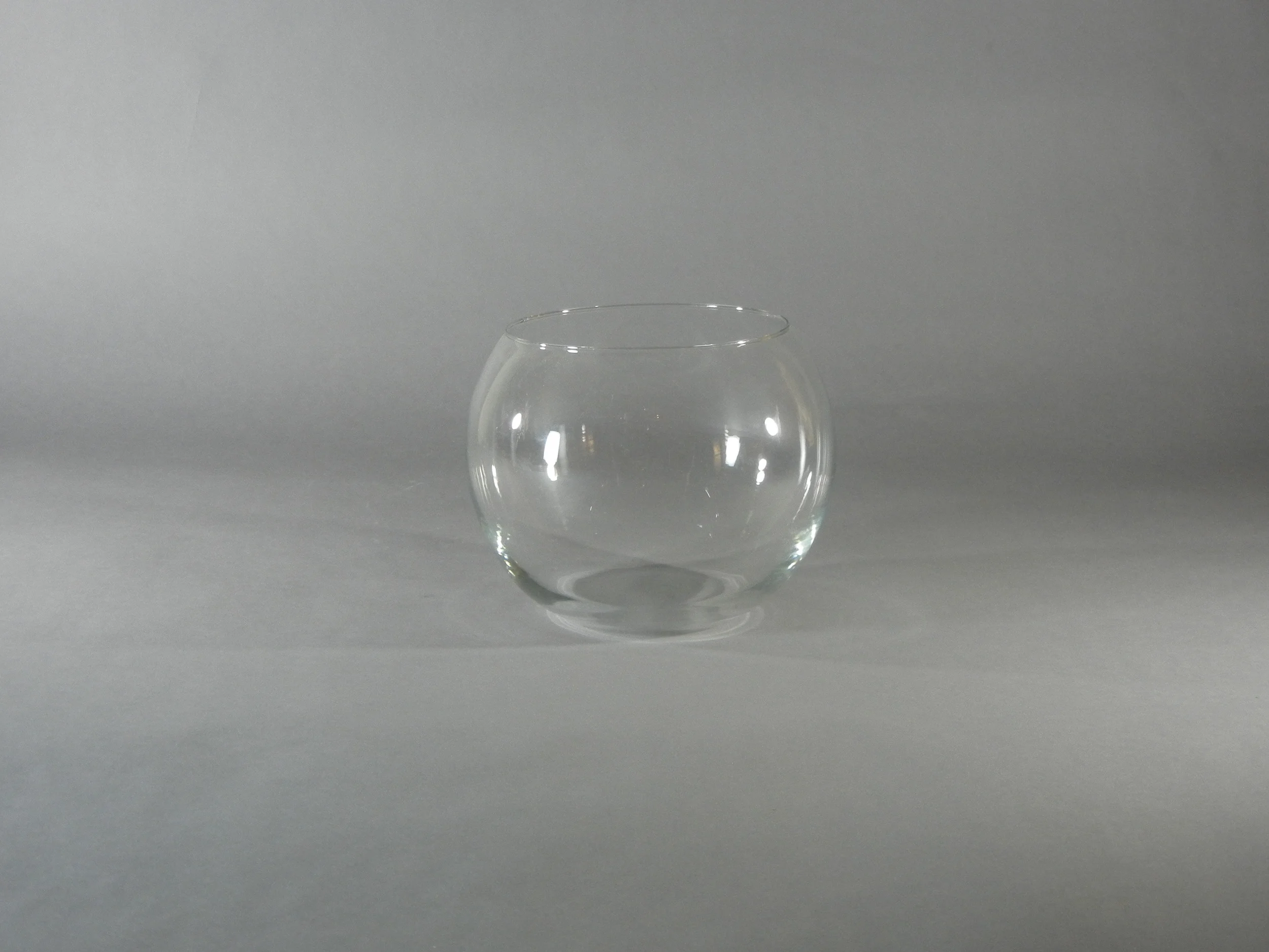 Glass Bubble Bowl - 8 inch.JPG