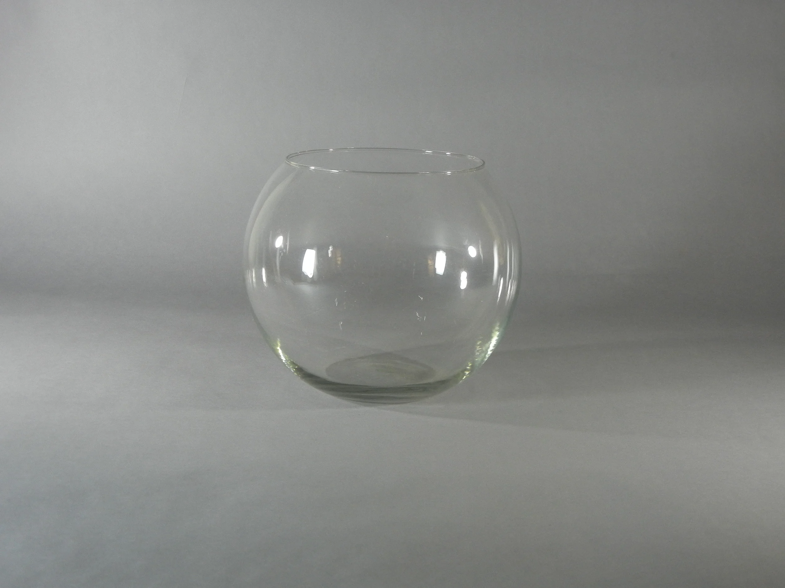 Glass Bubble Bowl - 10 inch.JPG