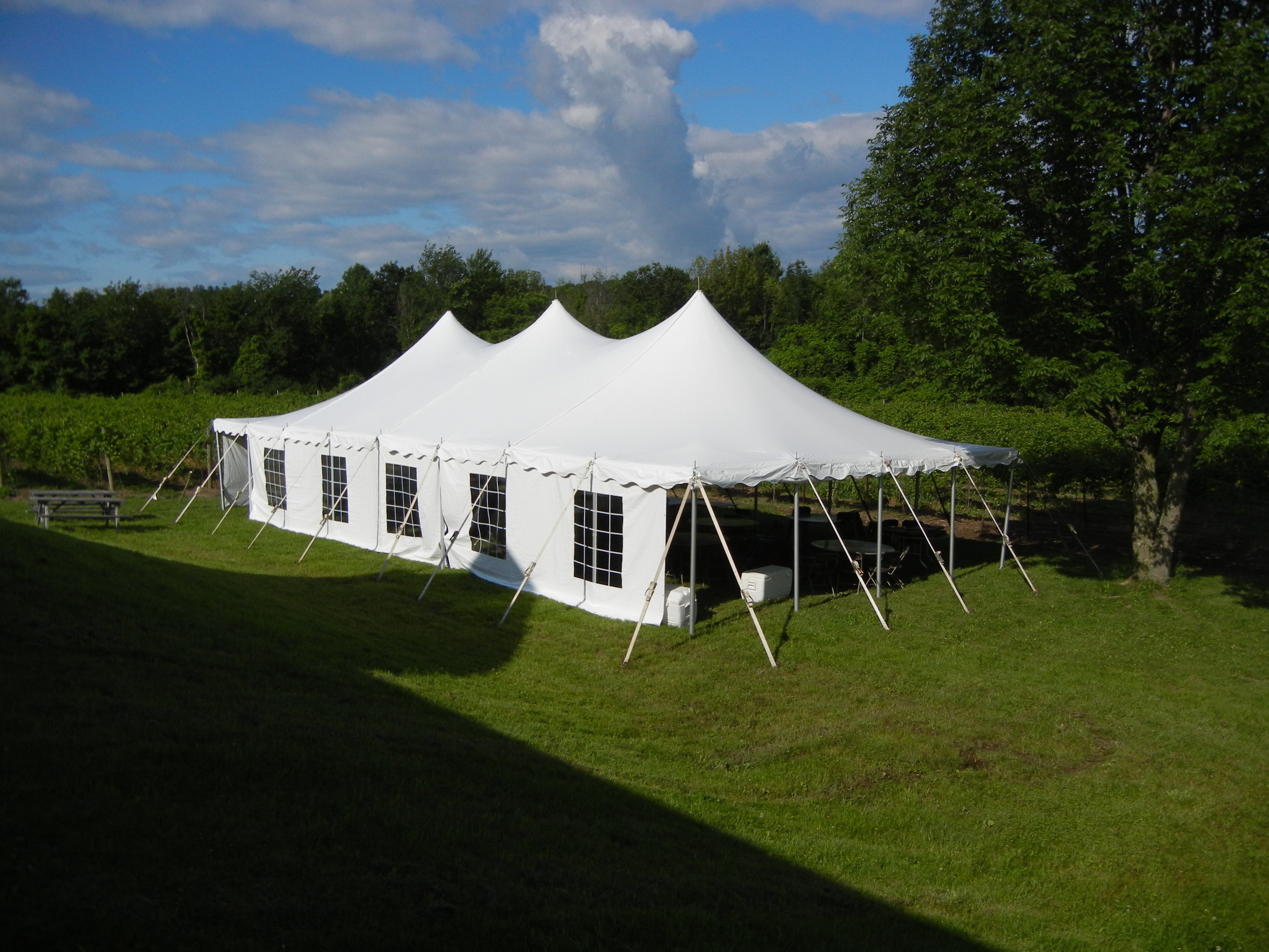 DSCN0379.JPG