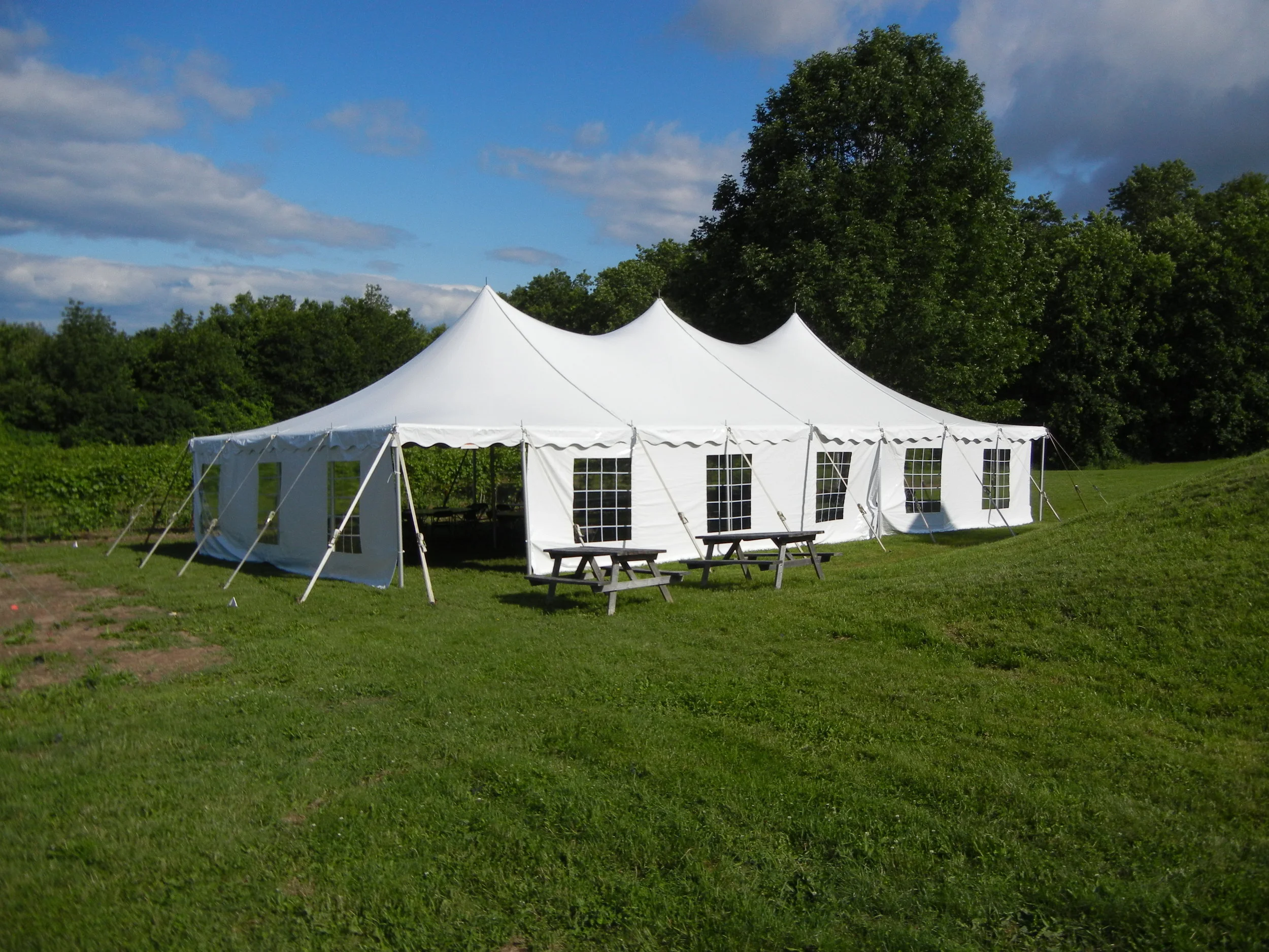 30'x 60' Century.JPG