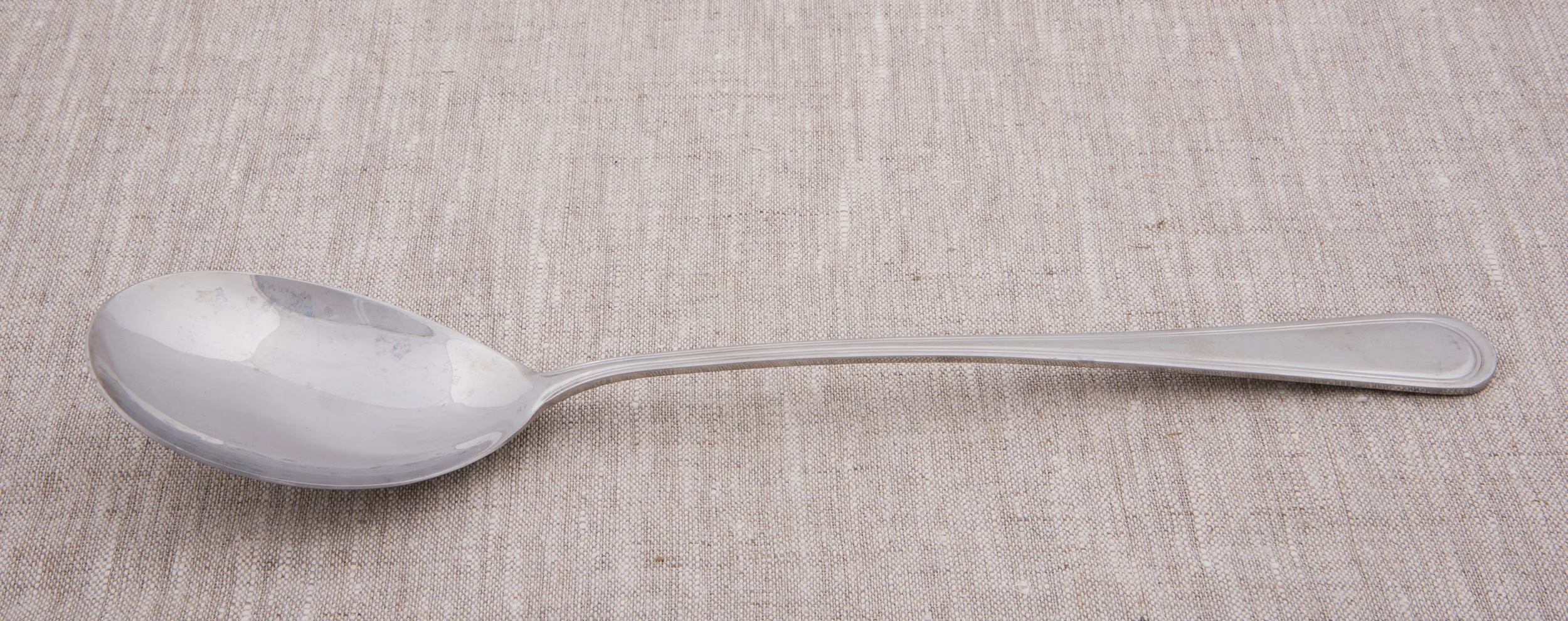 Stainless Serving Spoon (12 in)