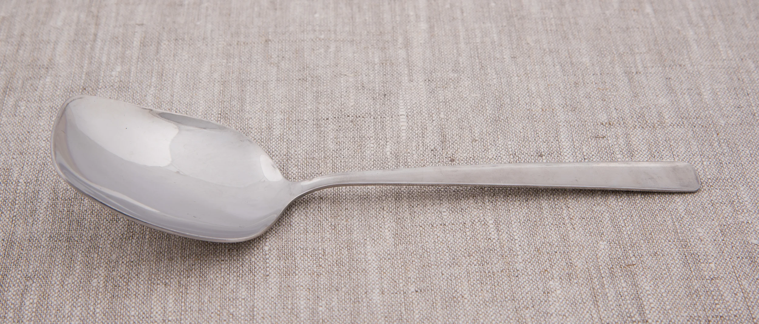 Stainless Serving Spoon (8 in)