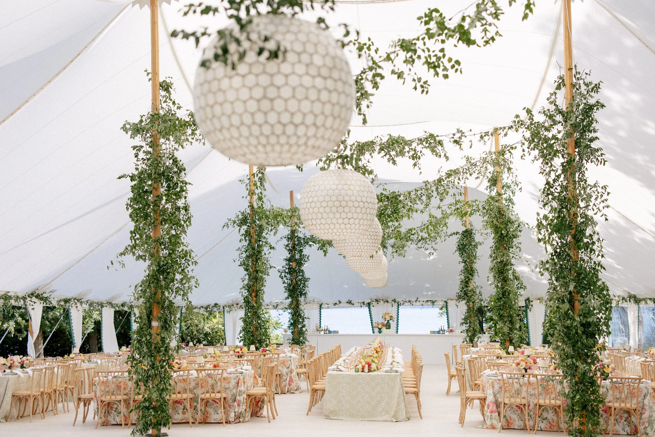 Natural Willow under Tent.jpg