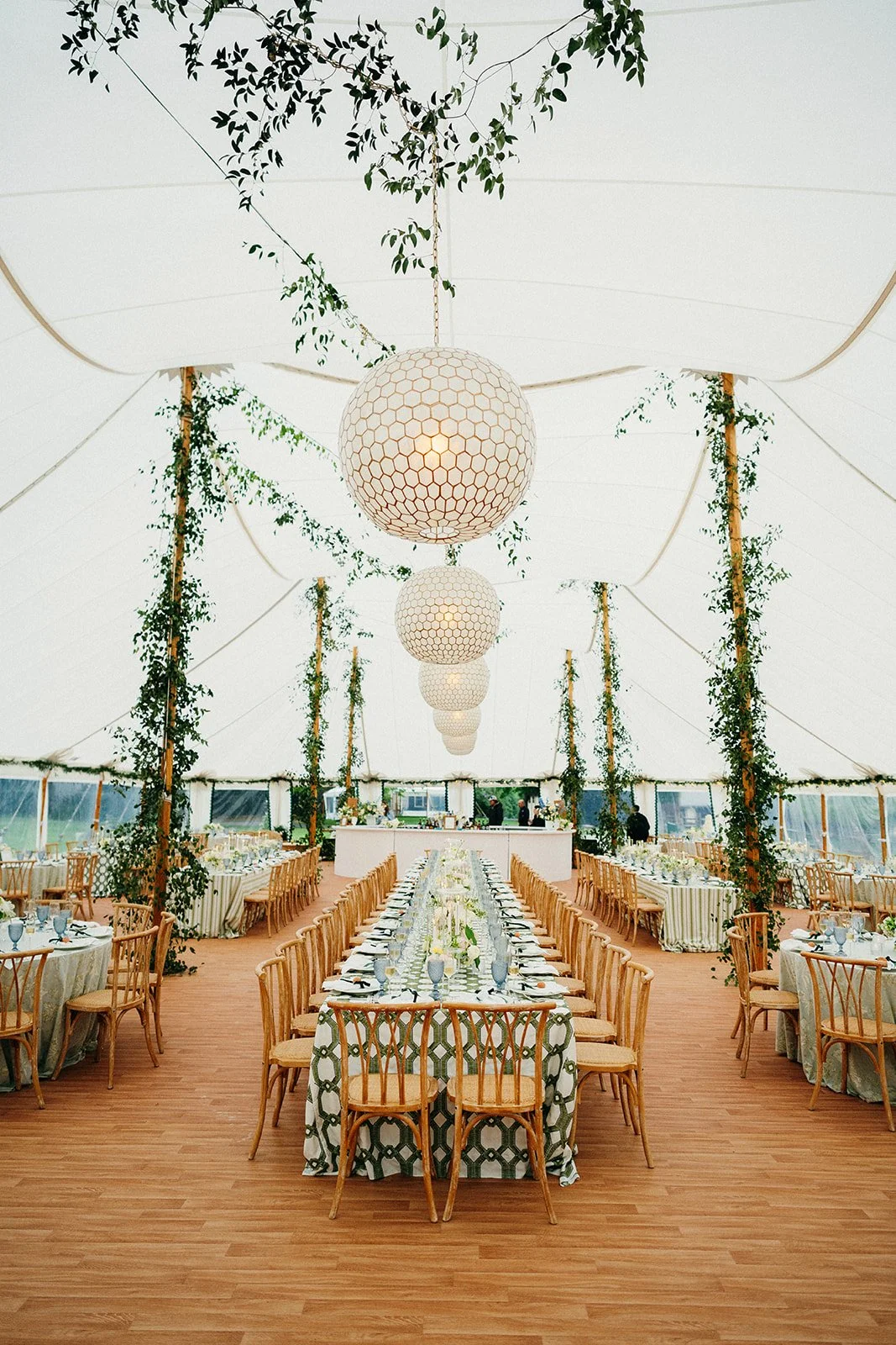 Weathered willow#2.jpg