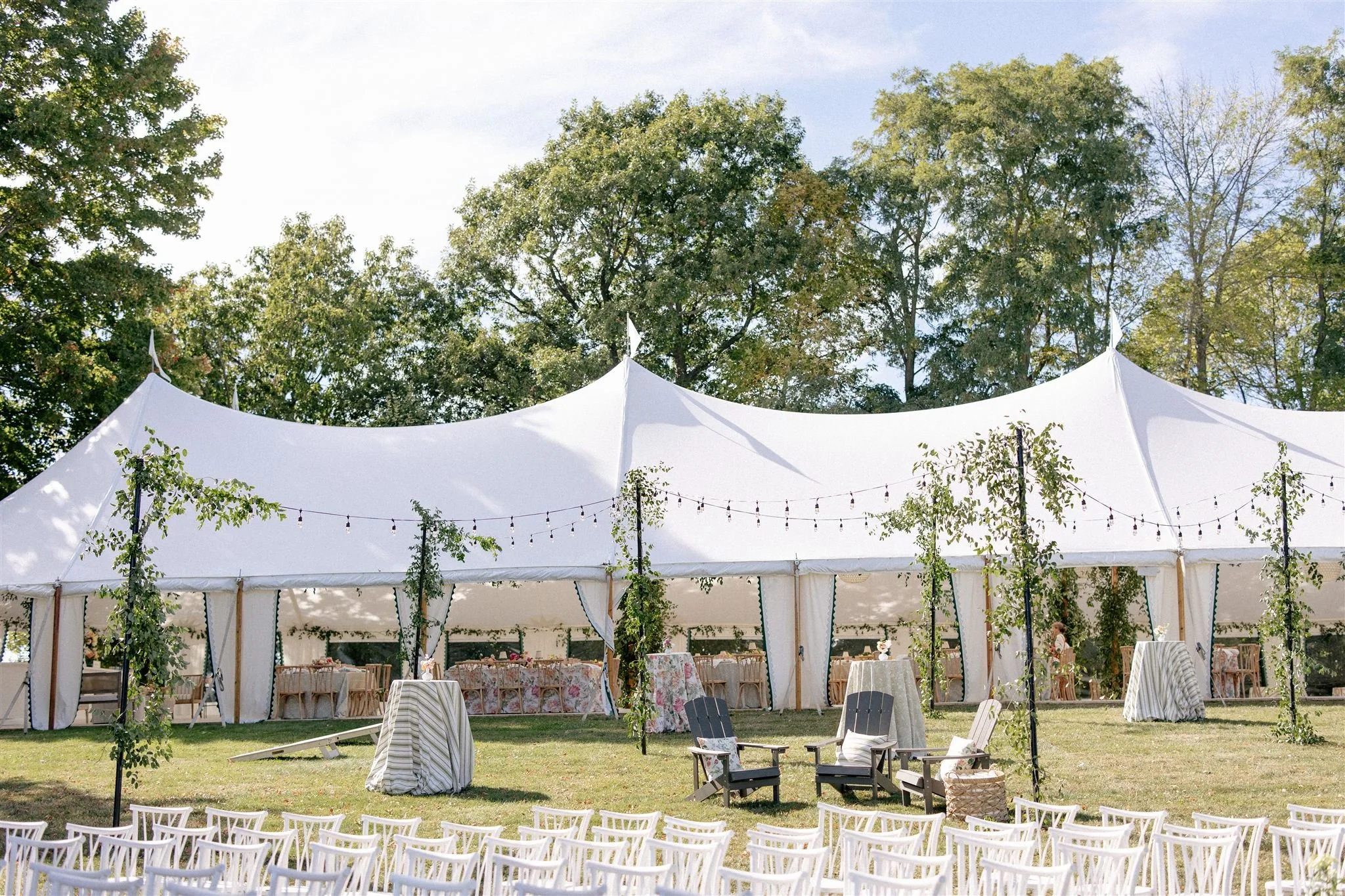 Sailcloth with Carnival Lights.jpg