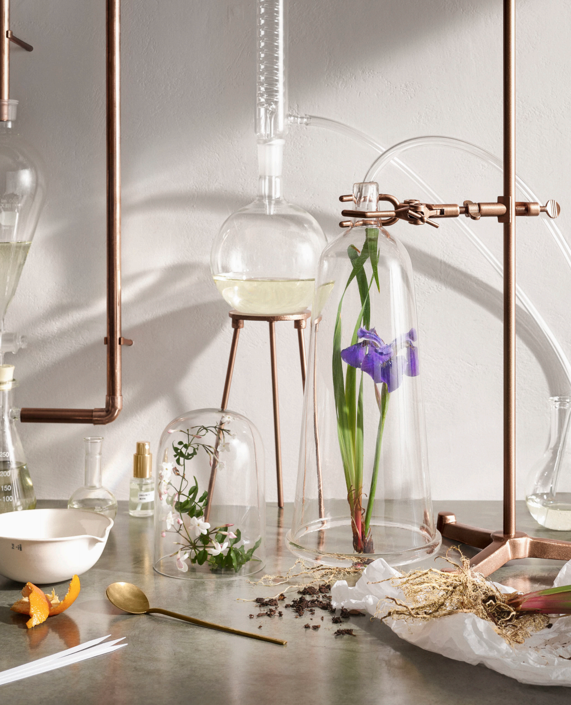 Screen Shot 2017-10-11 at 12.14.05 PM.png