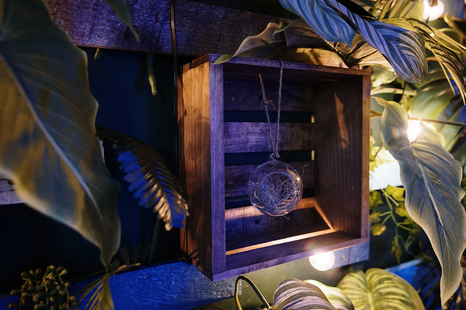 Destination D2C September 12, 2019