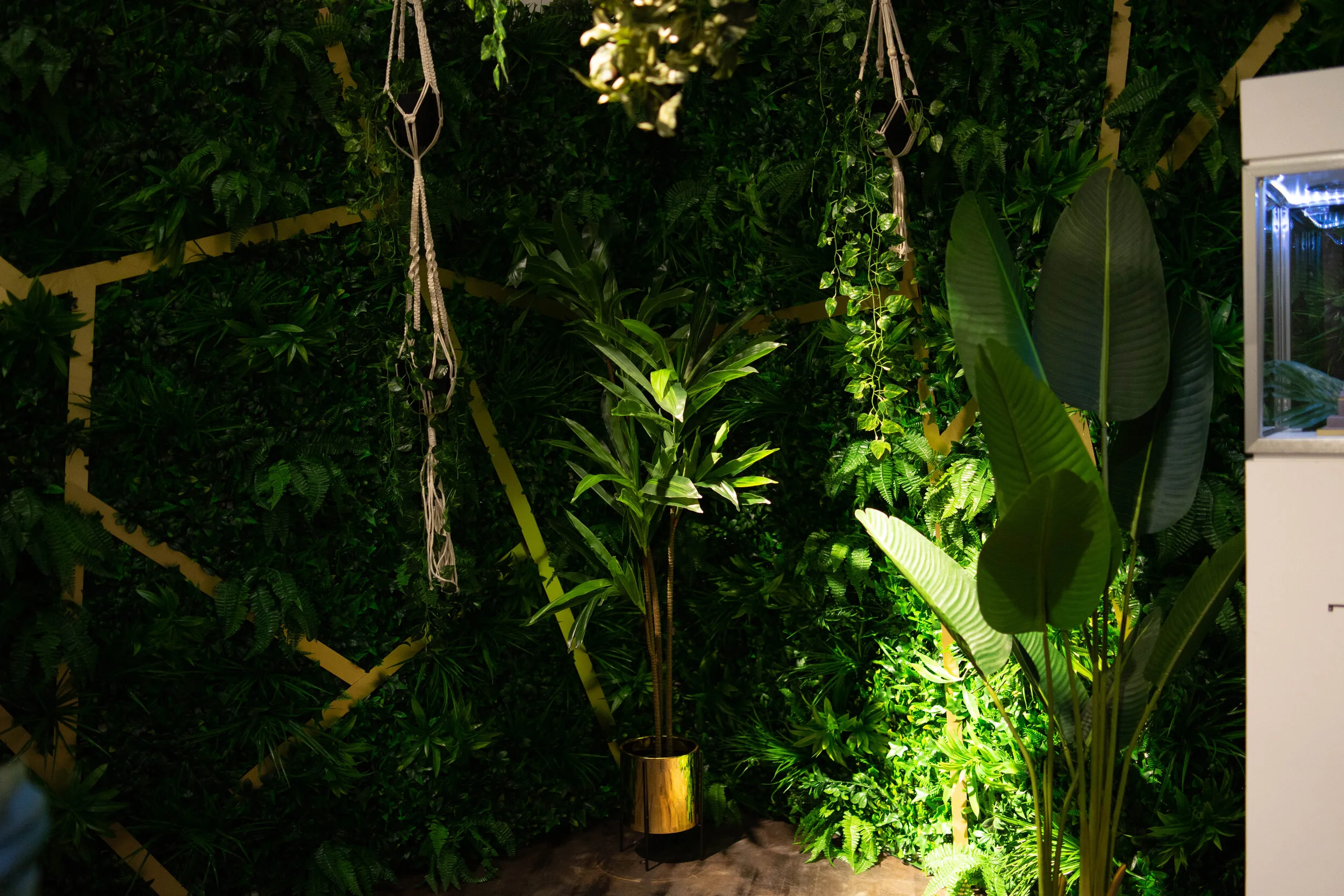 DSC01395-2.jpg