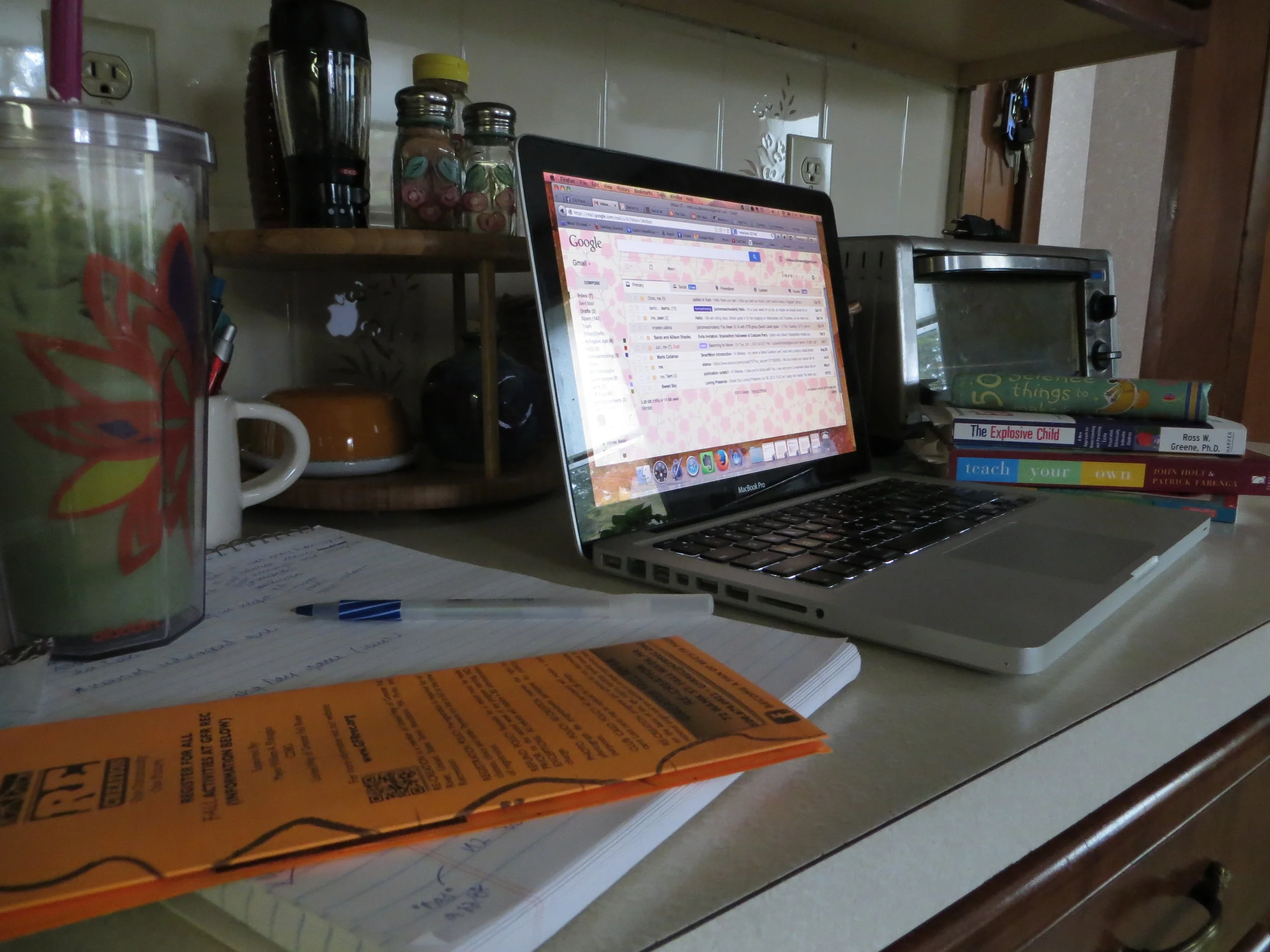 (You would think I would have tidied up for this photo, right? No. That would be a blatant misrepresentation of my kitchen counter.)