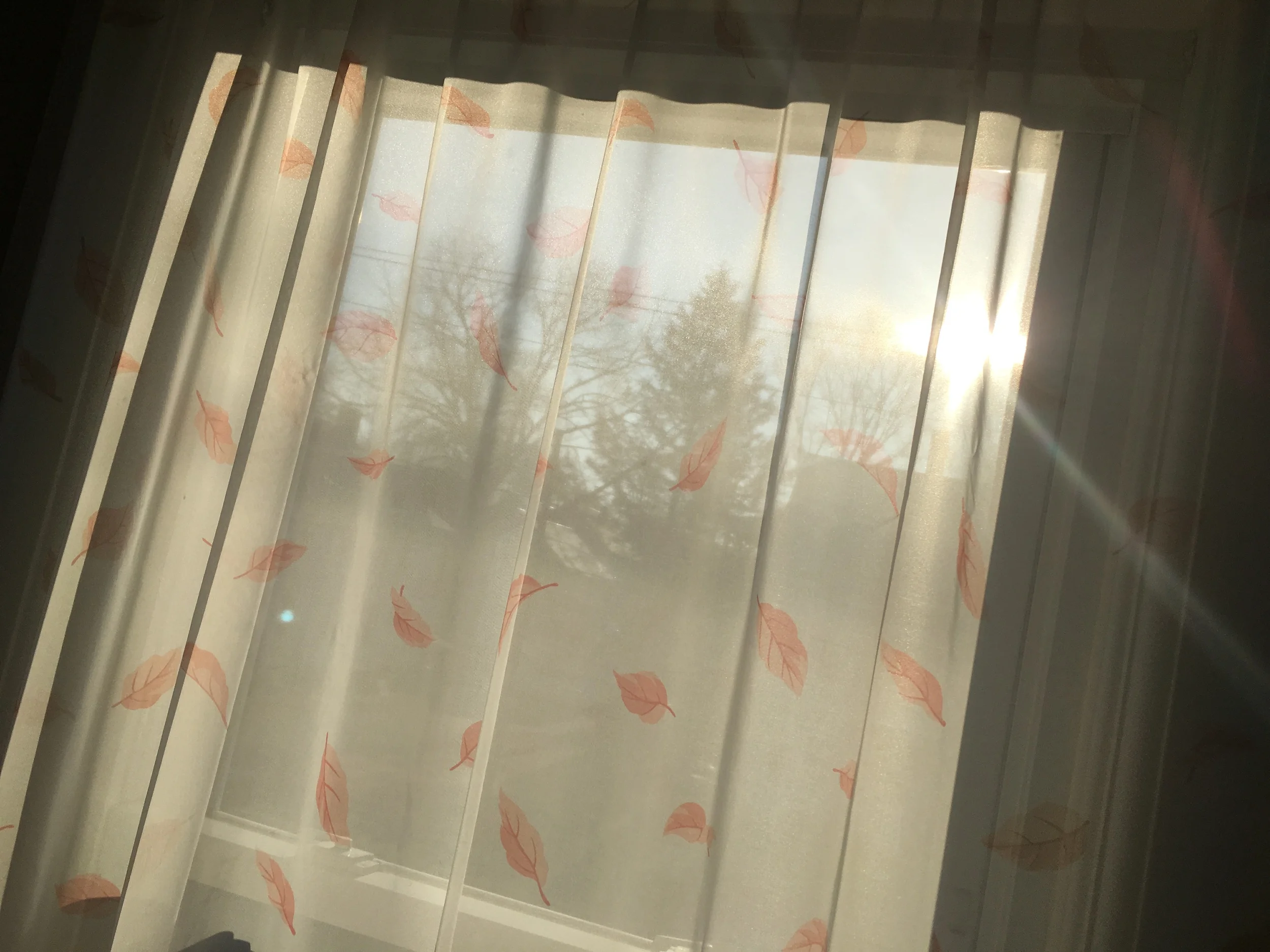 This is how I experience the outside world now.