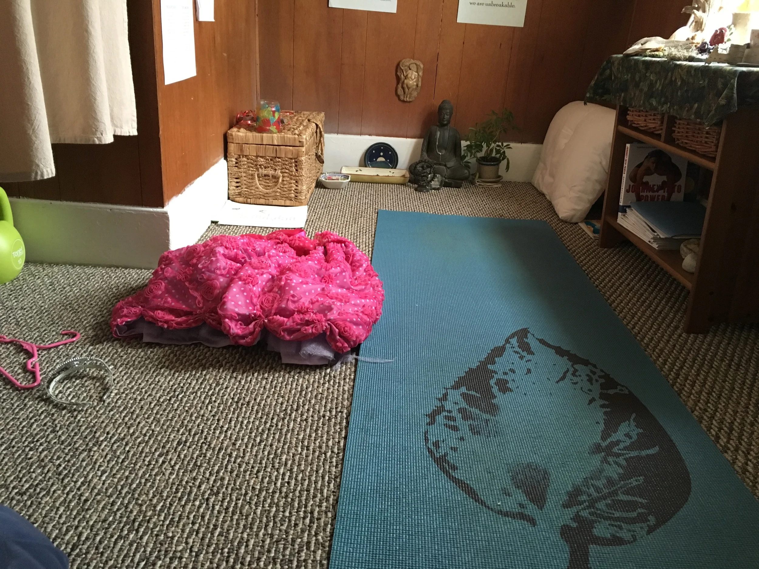 Yoga room. And I didn't even throw that princess dress on the floor for emphasis! It was there when I went to take the photo. Aren't my kids great?